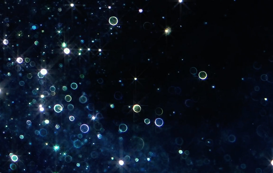 The night Shift Diamonds